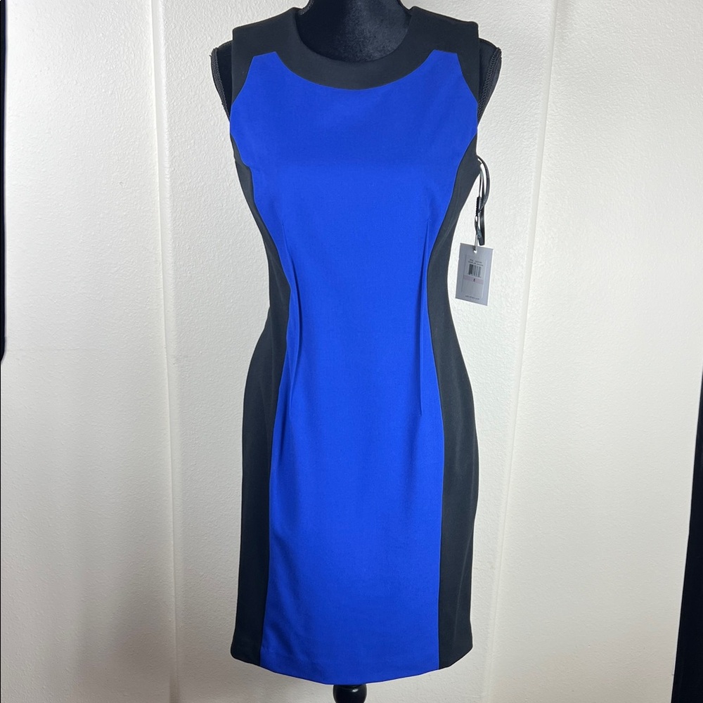 Calvin Klein Petunia and Black Colorblock Dress | Size 6 | NWT